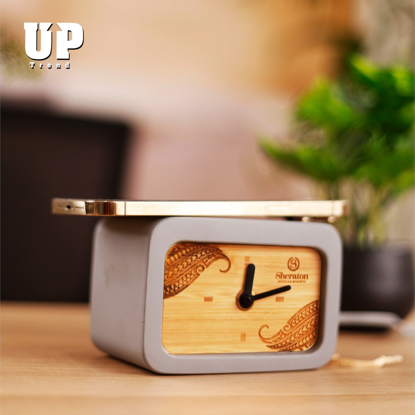 The Modern Professional