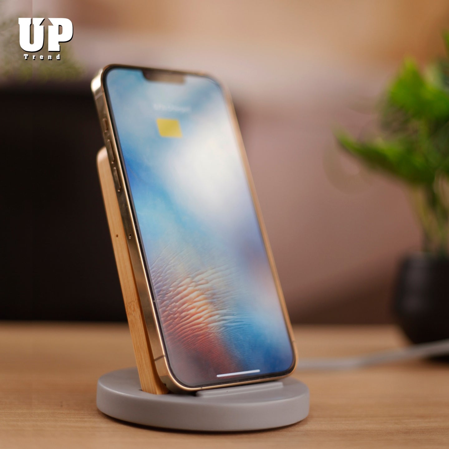 The Modern Professional