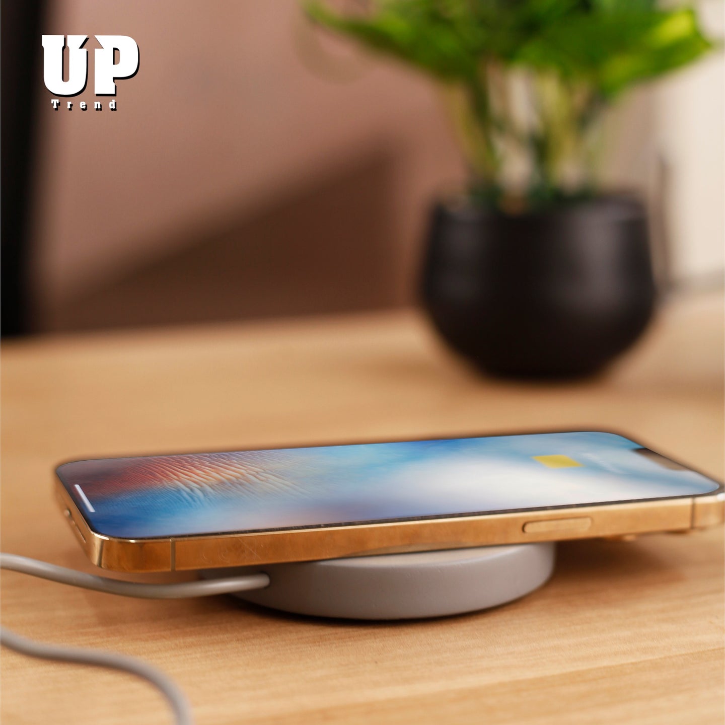 The Modern Professional